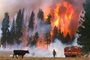 ΗΠΑ: Μεγάλη πυρκαγιά απειλεί τις γιγαντιαίες σεκόγιες στο πάρκο Γιοσέμιτι