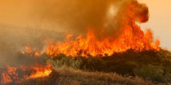 Σε εξέλιξη πυρκαγιά στην Υλίκη Βοιωτίας