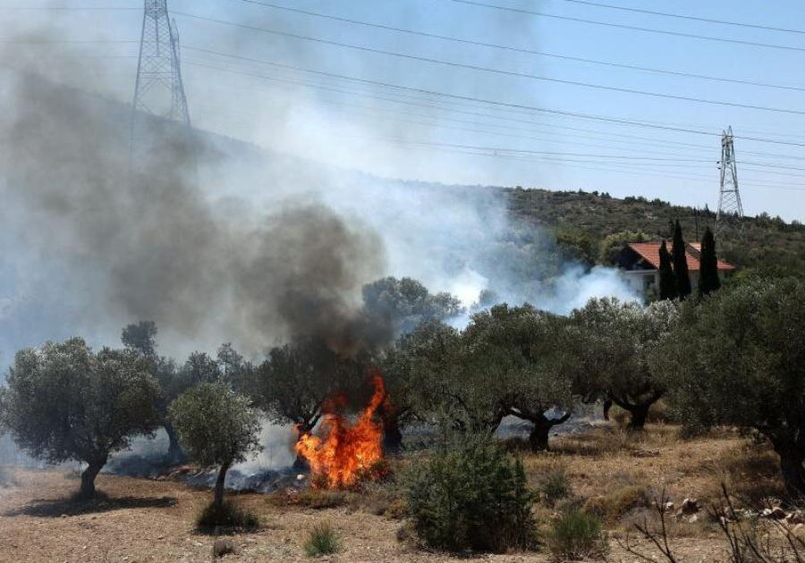 Δαφνί: Νέα εστία φωτιάς δίπλα στο Ψυχιατρικό Νοσοκομείο-Νέο μέτωπο κοντά στη Λεωφόρο Αθηνών
