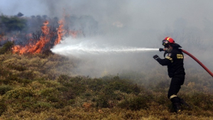 Μάχη με τις φλόγες για τέταρτη ημέρα στο Εθνικό Πάρκο Δαδιάς