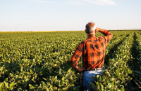 Μέσα στο 2024 τα Αγροτικά Τμήματα στα Επιμελητήρια - Ποιοι αντιδρούν