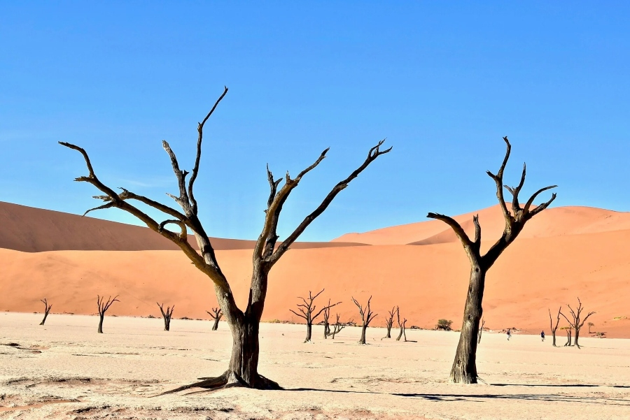 COP17: Αποκαθίστανται περίπου 2,52 δισ. στρέμματα υποβαθμισμένων οικοσυστημάτων