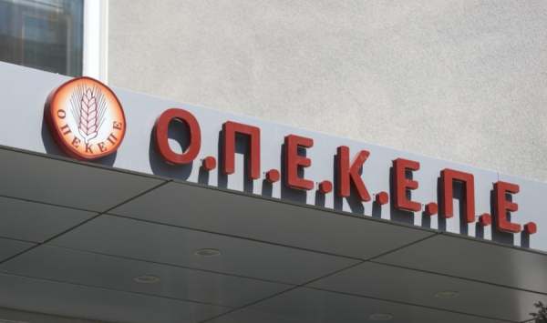 Nέος προσωρινός πρόεδρος του ΟΠΕΚΕΠΕ ο Γ. Καββαδάς
