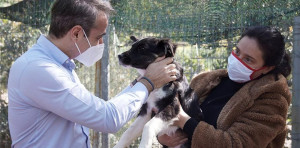Στο καταφύγιο ζώων της Ηλιούπολης ο Πρωθυπουργός