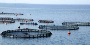 ΕΕ: Πόροι 520 εκατ. ευρώ για αλιεία - υδατοκαλλιέργεια στην Ελλάδα