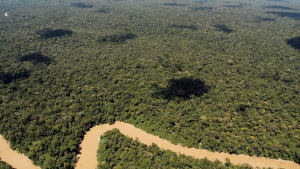 COP26: Οι ηγέτες θα δεσμευτούν για τον τερματισμό της αποψίλωσης δασών ως το 2030