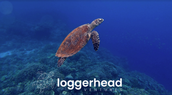 Loggerhead Ventures: Επενδύσεις 10 εκατ. ευρώ σε ελληνικές startups
