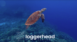 Loggerhead Ventures: Επενδύσεις 10 εκατ. ευρώ σε ελληνικές startups