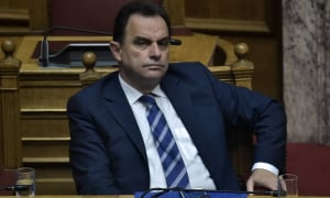 Γεωργαντάς: Οι γερμανικές επενδύσεις στον πρωτογενή τομέα "μοχλός" ανάπτυξης για τη χώρα