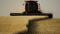Μειωμένες κατά 44% οι ουκρανικές εξαγωγές σιτηρών μέχρι στιγμής τον Ιούνιο