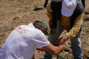 Βίκος: Δράση με αφορμή την παγκόσμια ημέρα του περιβάλλοντος