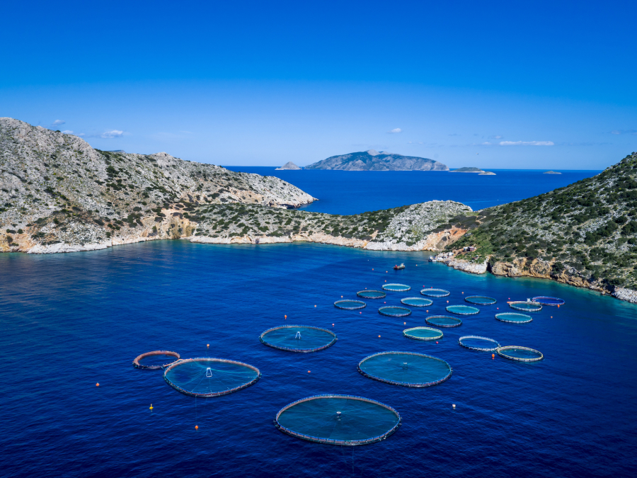Eurostat : l’aquaculture en Grèce représente 13%