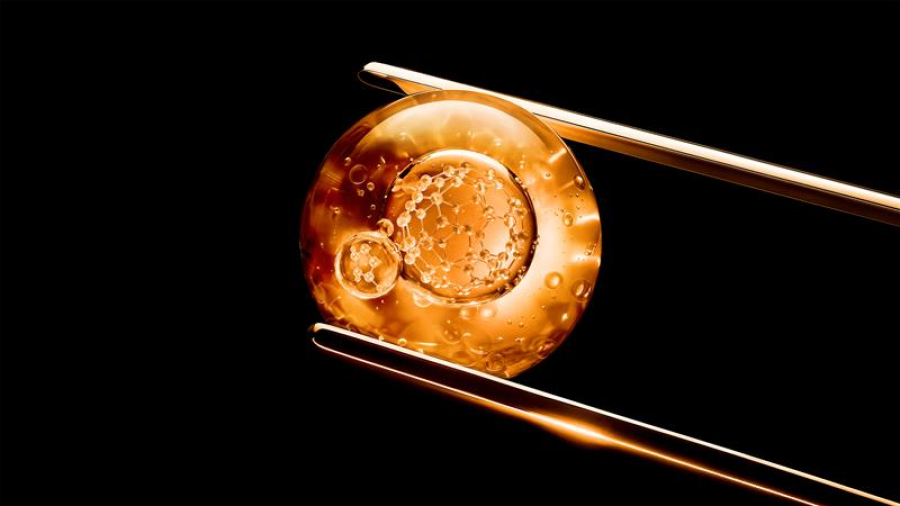 L’Oréal και Nvidia επιταχύνουν την καινοτομία στην ομορφία με τη δύναμη της προβλεπτικής Τεχνητής Νοημοσύνης