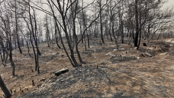 Κυβερνητικό κλιμάκιο επισκέπτεται τον Έβρο