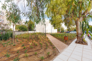 P&amp;G: Δημιούργησε νέο Πάρκο Τσέπης στους Αγίους Αναργύρους