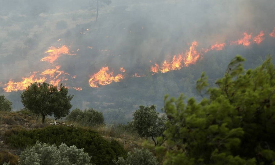 Σαράντα πέντε δασικές πυρκαγιές εκδηλώθηκαν το τελευταίο 24ωρο