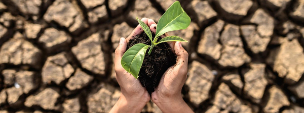 COP26: Συμβιβασμοί για μια "ατελή" συμφωνία για το Κλίμα