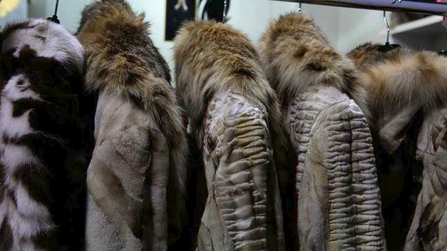 Επιχορήγηση 8 εκατ. ευρώ για τις επιχειρήσεις γούνας