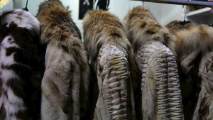 Επιχορήγηση 8 εκατ. ευρώ για τις επιχειρήσεις γούνας