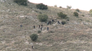 Την αποχή της από την υπόθεση του Βασίλη Καλογήρου ζήτησε η ιατροδικαστής Ρουμπίνη Λεονταρή