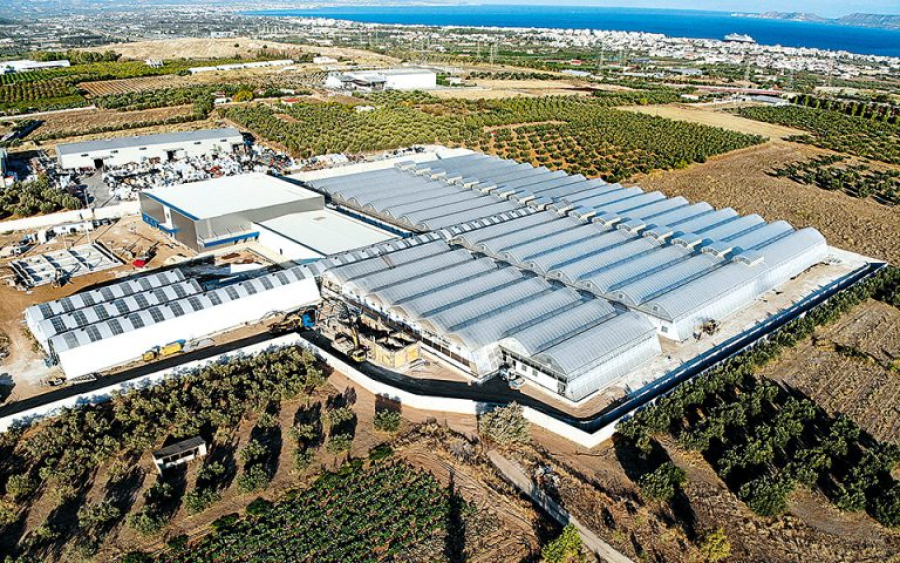 Tikun Europe: Εγκαίνια της πρώτης μονάδας φαρμακευτικής κάνναβης στην Ελλάδα