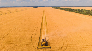 Ρωσία: Σε επίπεδα ρεκόρ η συγκομιδή σιτηρών στην Κριμαία