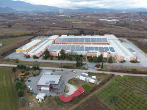 Βαρβαρέσος: Κάθετη πτώση του τζίρου κατά 66.95% στο α’ εξάμηνο