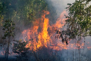 Όλεθρος στο Κρυονέρι, καίγονται το ένα μετά το άλλο τα σπίτια
