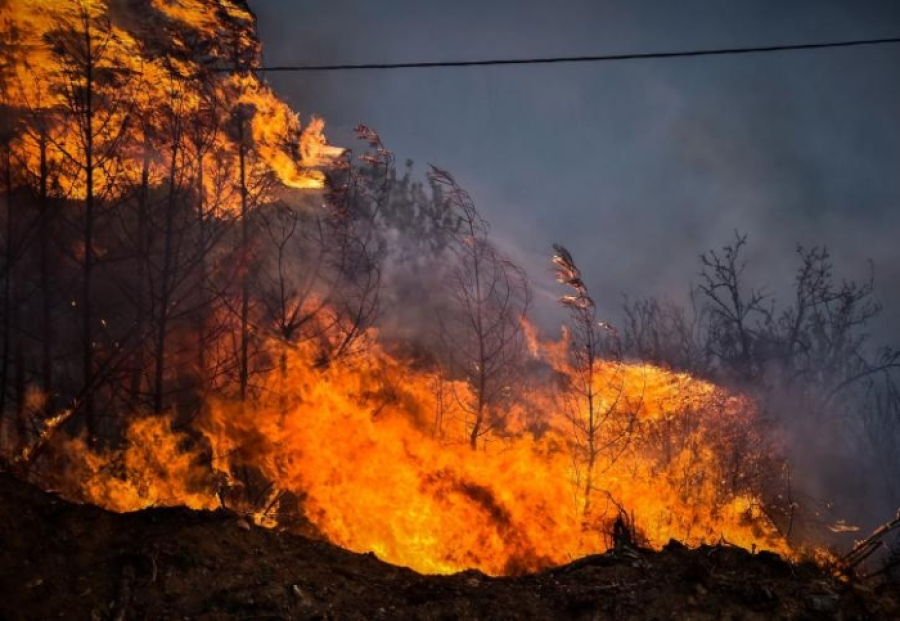 Εκδηλώθηκαν 46 πυρκαγιές μέσα σε ένα 24ωρο - Σε εξέλιξη 105 πύρινα μέτωπα