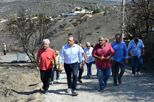 Σ. Φάμελλος: Άμεσα μέτρα στήριξης των τοπικών κοινωνιών μετά τις πυρκαγιές - Απαιτείται ισχυρή Πολιτεία