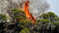 Πυρκαγιά σε δασική έκταση στην Τρίπολη - 58 δασικές πυρκαγιές το τελευταίο 24ωρο