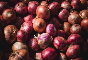 Iνδία: «Μέχρι νεωτέρας» η απαγόρευση εξαγωγής κρεμμυδιών