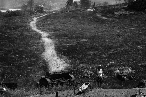 Τον Αύγουστο η πρώτη δόση των αποζημιώσεων στους πυρόπληκτους