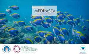 GIVMED - CPF: Συνεργασία για το πρόγραμμα MEDforSEA με στόχο τη μείωση της φαρμακευτικής ρύπανσης
