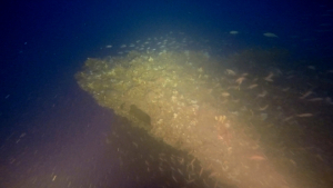 Η πρύμνη με το χαρακτηριστικό σχήμα. Διακρίνεται ανοικτή η θυρίδα επιθεώρησης του μηχανισμού του πηδαλίου