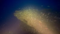 Βρέθηκε γαλλικό υποβρύχιο από τον Α&#039; Παγκόσμιο Πόλεμο στον Θερμαϊκό