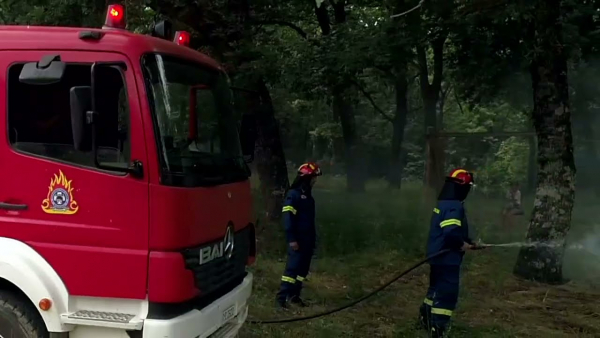 Υπό έλεγχο η πυρκαγιά στον Ελαιώνα Αθήνας - Αποκαταστάθηκε η κυκλοφορία στον Βοτανικό
