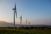 Chiquita: Λανσάρει τις πρώτες μπανάνες με ουδέτερο αποτύπωμα διοξειδίου του άνθρακα