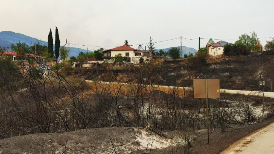 Μόλις το 3% των πυρκαγιών ευθύνονται φέτος για το 80% των καμένων δασικών εκτάσεων