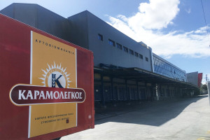 Καραμολέγκος: Νέο Δ.Σ. και Επιτροπή Ελέγχου