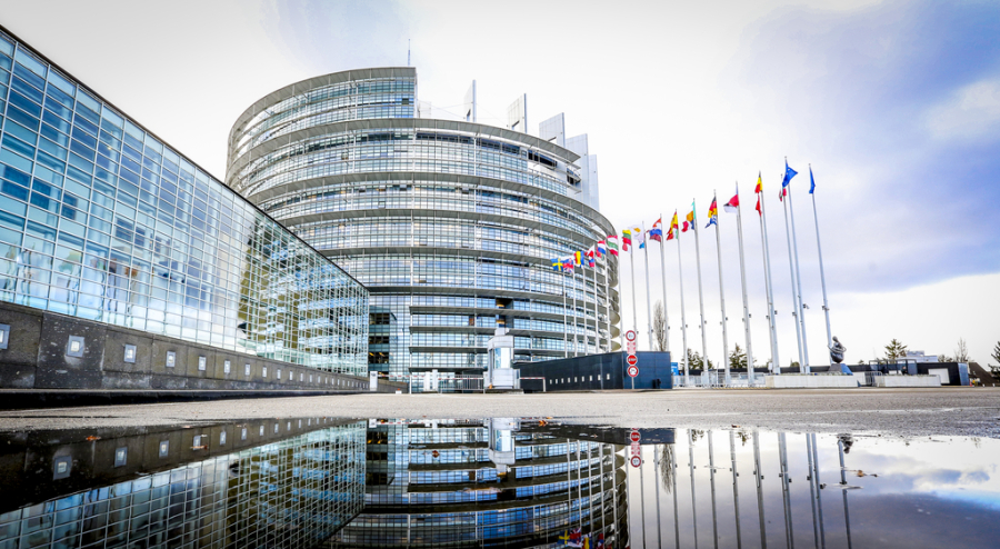 Ευρωπαϊκό Κοινοβούλιο: Ο αναγκαστικός γάμος, η παράνομη υιοθεσία και η εκμετάλλευση της παρένθετης μητρότητας ποινικοποιούνται