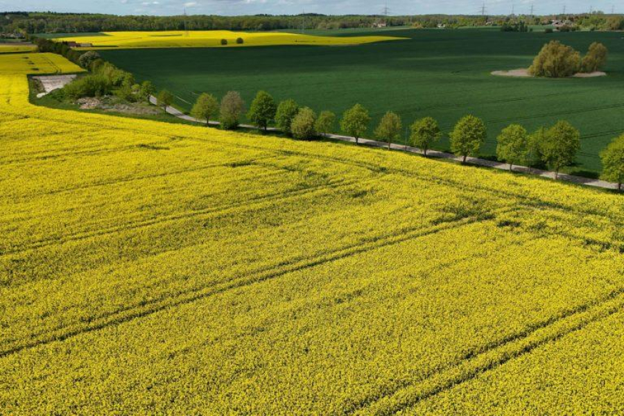 Το υπ. Οικονομικών εξετάζει παράταση για τις αιτήσεις εξαγοράς καταπατημένων εκτάσεων