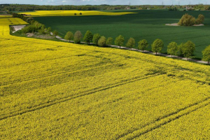 Το υπ. Οικονομικών εξετάζει παράταση για τις αιτήσεις εξαγοράς καταπατημένων εκτάσεων