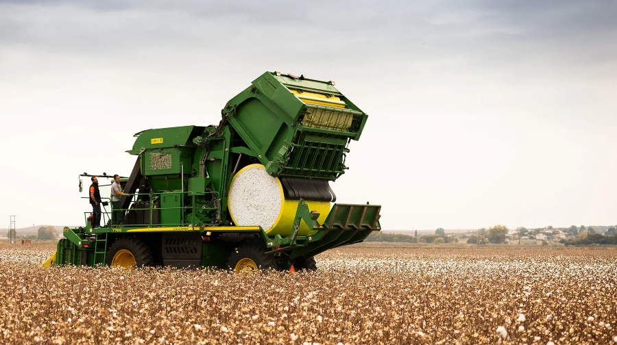 Ελληνικός αγροτικός τομέας: Στα 15,7 δισ. ευρώ η παραγωγή το 2024 με 450.000 θέσεις εργασίας