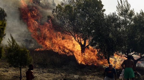 Υπό μερικό έλεγχο η πυρκαγιά στο Μαρκόπουλο Αττικής