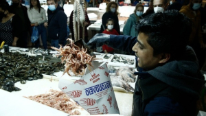 Οδηγίες ΕΟΔΥ για την κατανάλωση θαλασσινών και οστρακοειδών