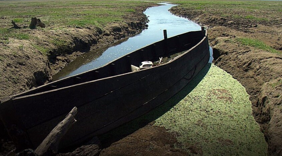 Έρευνα Focus Bari / YouGov: Πώς βλέπουν οι Έλληνες την κλιματική αλλαγή