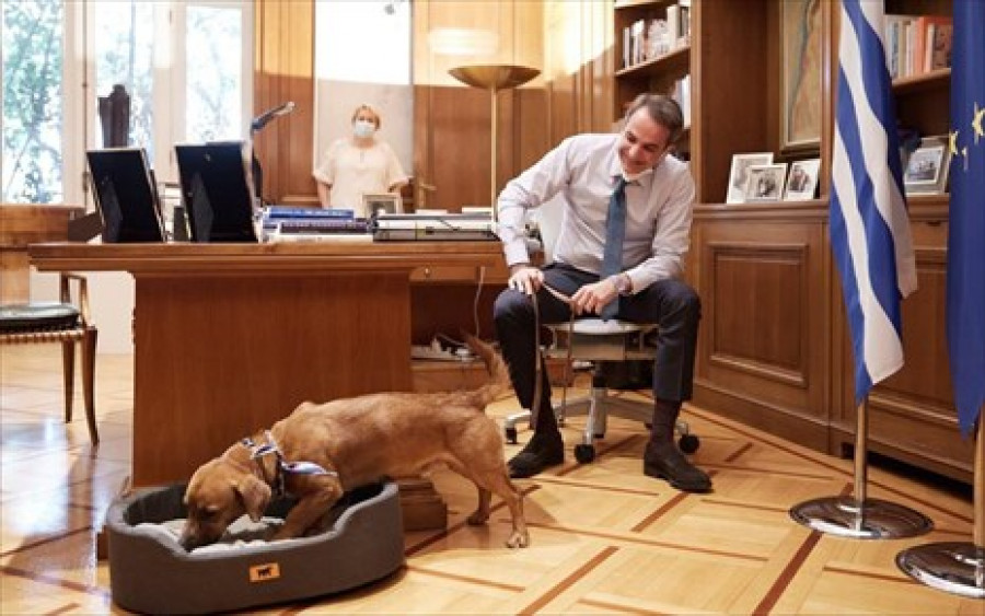 Στο Μαξίμου ο Peanut