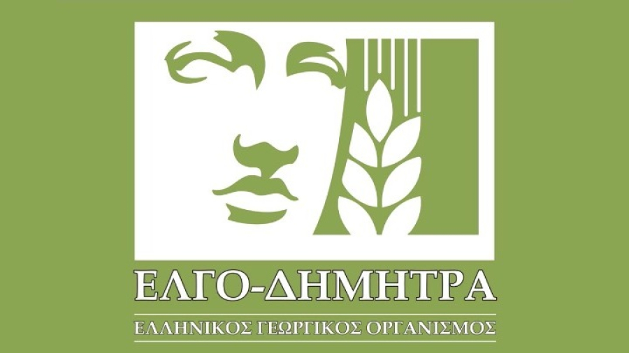 Από 21 Αυγούστου οι αιτήσεις για τα ΔΙΕΚ του ΕΛΓΟ-ΔΗΜΗΤΡΑ - Ποιους αφορά