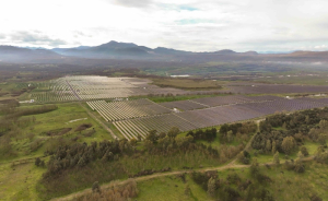 Όμιλος ΔΕΗ: Ξεκινά η δεύτερη φάση κατασκευής του φωτοβολταϊκού πάρκου 490MW στη Μεγαλόπολη